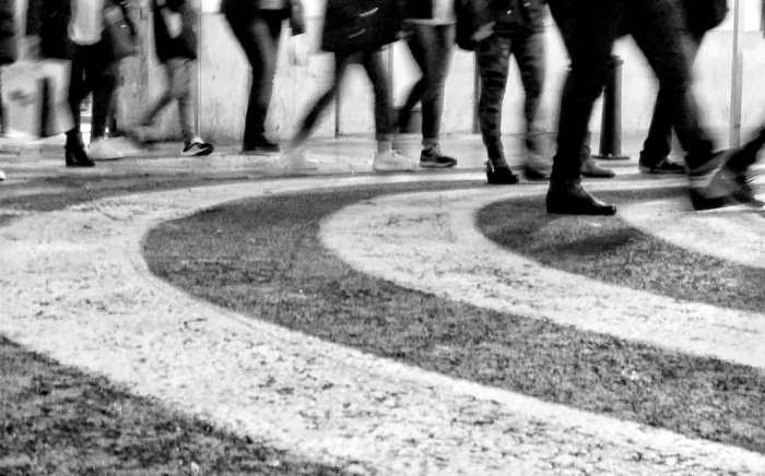 78410563_3065773383452684_6685491134552080384_o