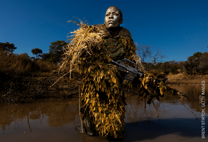 brent-stirton